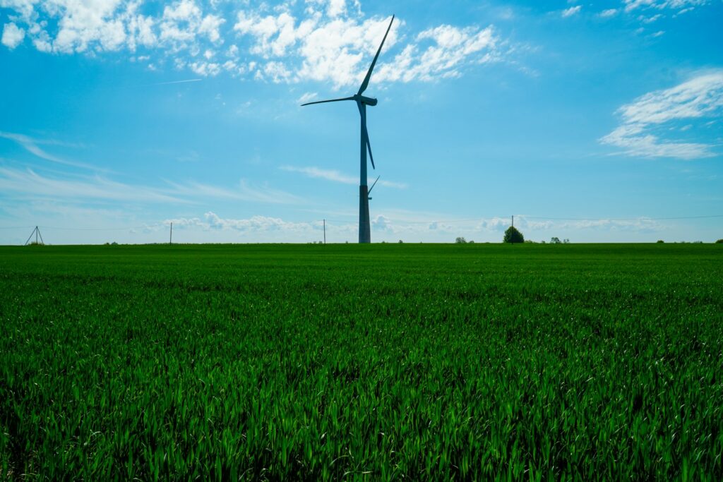 Windrad auf grüner Wiese als Symbol für Nachhaltigkeitsbericht und Klimaziele